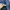 Casual Harrington jacket Pria navy photo 8