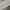 Quiksilver Biker Track jacket Pria white photo 6