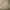 Quiksilver Biker Track jacket Pria white photo 5