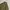 Casual Harrington jacket Pria green khaki photo 4