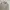 Casual Harrington jacket Pria cream tan photo 4