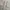 Casual Harrington jacket Pria cream tan photo 6