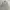 Casual Harrington jacket Pria cream tan photo 1