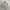 Casual Harrington Jacket Pria Cream Tan