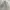 Casual Harrington jacket Pria cream tan photo 3