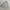 Casual Harrington Jacket Pria Cream Tan