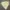 Biker Casual Bomber jacket Pria multicolor photo 1