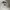 Stussy Streetwear Hat Pria white photo 2