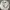 Stussy Streetwear Hat Pria white photo 3