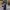 JNCO Streetwear Y2K Jeans Pria blue black photo 8