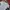 Streetwear Casual Sweatshirt Pria navy gray photo 3