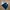 Levi's Vintage Casual Top Kids Navy
