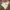 Balenciaga Streetwear Casual Hoody Pria white photo 1