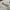 Balenciaga Streetwear Casual Hoody Pria white photo 3