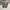 8seconds Casual Casual pants Pria multicolor photo 1