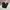 Uniqlo Casual Casual pants Pria black photo 1