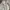 ZARA Y2K Gorpcore Casual pants Pria cream photo 4