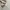 ZARA Y2K Gorpcore Casual pants Pria cream photo 5
