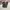 Codegraphy Streetwear Y2K Casual pants Pria gray photo 1