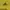 Adidas Sportswear Track jacket Pria yellow photo 7