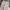 8seconds Casual Casual pants Pria cream photo 4