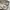 8seconds Casual Casual pants Pria cream photo 5