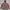 Mountain Hardwear Sportswear Track jacket Wanita red gray photo 2