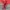 Mountain Hardwear Sportswear Track jacket Wanita red gray photo 8