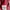 Tommy Hilfiger Vintage Sportswear Windbreaker Pria red photo 3