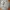 Nike Y2K Hoody Pria gray photo 2