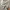 Nike Y2K Hoody Pria gray photo 3