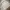 Nike Y2K Hoody Pria gray photo 4