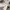 Nike Y2K Hoody Pria gray photo 6