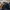 The North Face Streetwear Sportswear Jeans Pria multicolor photo 8