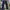 The North Face Streetwear Sportswear Jeans Pria Multicolor