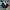 The North Face Streetwear Sportswear Jeans Pria multicolor photo 1