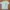 Dickies Streetwear T-shirt Pria cream photo 1