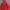 Fila Gorpcore Sportswear Track jacket Pria red photo 4