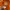 The North Face Streetwear Gorpcore Windbreaker Pria orange photo 3