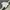 Nike Y2K Sportswear T-shirt Pria white photo 4