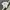 Nike Y2K Sportswear T-shirt Pria white photo 1