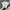 Nike Y2K Sportswear T-shirt Pria white photo 2