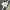 Nike Y2K Sportswear T-shirt Pria white photo 3