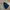 Lululemon Sportswear Casual Windbreaker Wanita multicolor photo 2