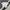 Nike ACG Y2K Sportswear T-shirt Pria white photo 4