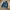ZARA Biker Casual Casual Shirt Pria Multicolor