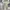 Vintage Y2K Jeans Pria cream tan photo 4
