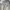 Vintage Y2K Jeans Pria cream tan photo 6