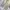 Vintage Y2K Jeans Pria cream tan photo 7