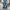 Vintage Y2K Jeans Pria blue photo 4